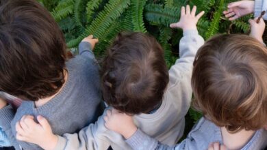 be for education foundation