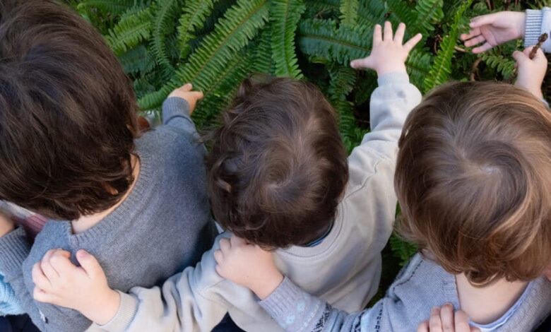 be for education foundation